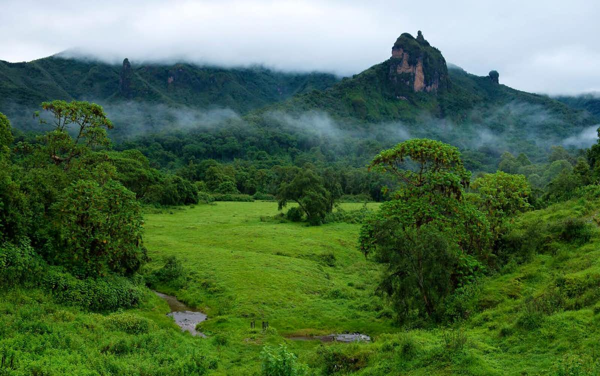 Bale Mountains